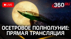 Осетровая Луна. Яркое природное шоу | Трансляция из Тегерана