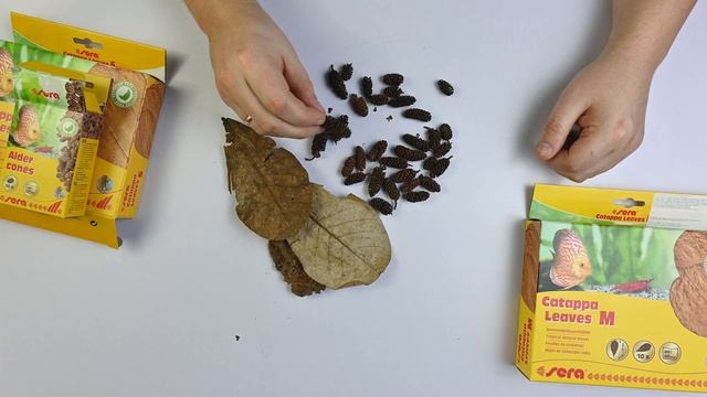 Зачем нужны листья и шишки в аквариуме? смотреть онлайн