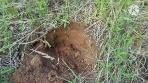 Очень сложный заказ. Много металла . Коп миниэкскаватором.