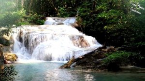 Шум Водопада и Пение Птиц для Сна Детей ¦ Белый Шум для Детей
