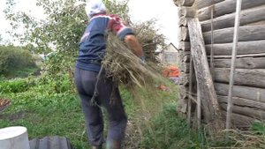 ОДИН ДЕНЬ НА КАРТОШКЕ В ДЕРЕВНЕ. (АСМР) Хранение урожая в овощной яме