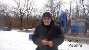 Зооагрессия - препятствие в дрессировке собак. Как решать эту проблему.