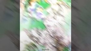 джоджо мем эдит