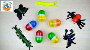 ЛИЗУНЫ КАПСУЛЫ И ЛИПУЧКИ НАСЕКОМЫЕ. ЖВАЧКА ДЛЯ РУК HANDGUM SLIME | СПЕЦЗАКАЗ