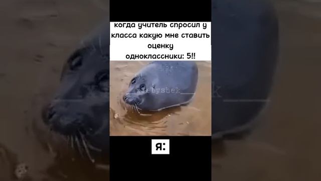 но такое даже во сне не бывает)