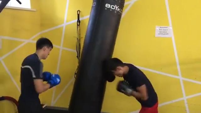 Тренажерный зал Penguin смотреть онлайн