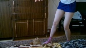 За день до кастрации