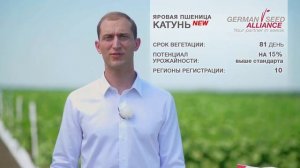 01 Яровая пшеница