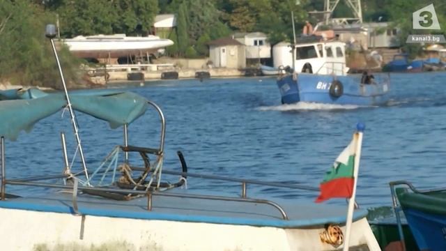 Българският рапан изчезва смотреть онлайн