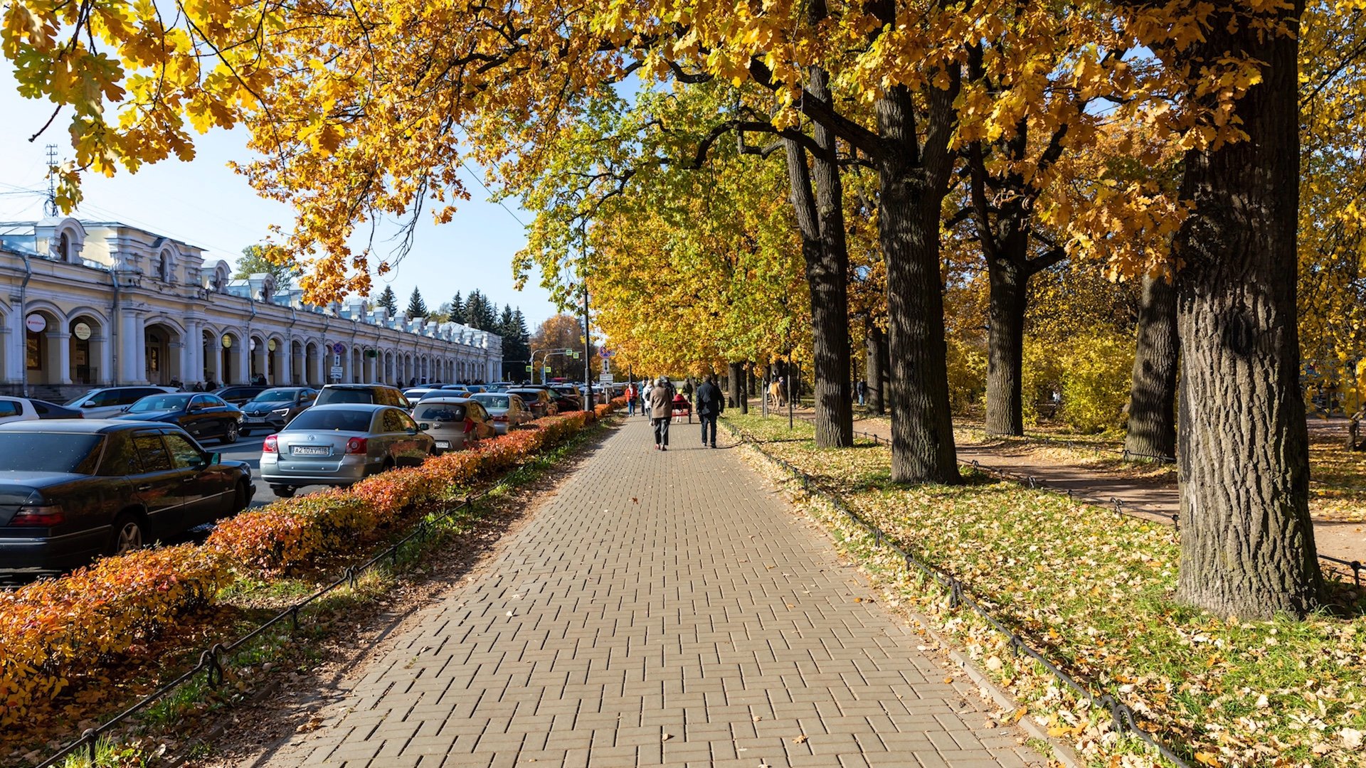 Петербург в фотографиях_1