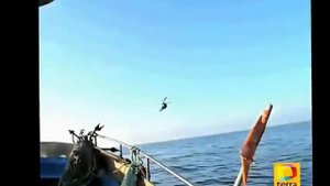 Испанские рыбаки наблюдают охоту на НЛО.flv