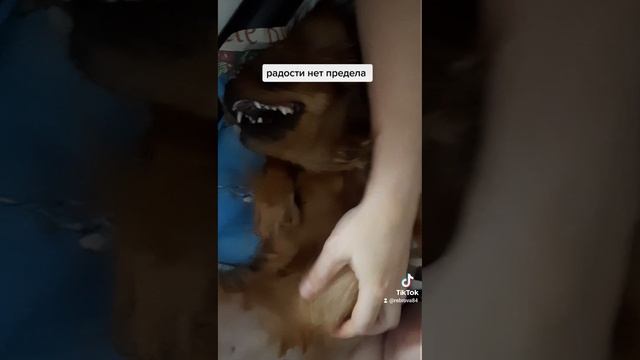 Любимка