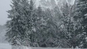 Страшные армейские истории. Страшная армейская история деда.