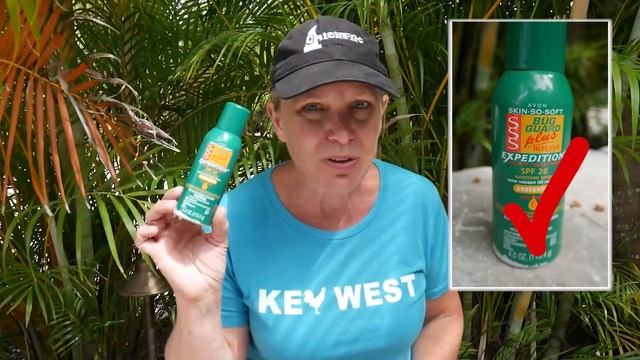 What is the Best Mosquito Spray/Bug Repellent?