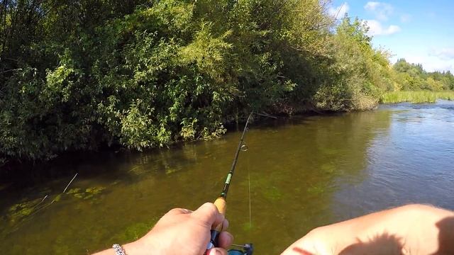 СПОНТАННАЯ РЫБАЛКА на р. Мокша / Мордовия смотреть онлайн