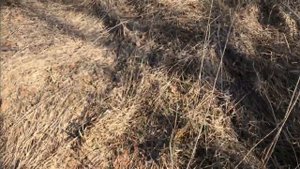 Коп металла . Тонна железа , много меди .