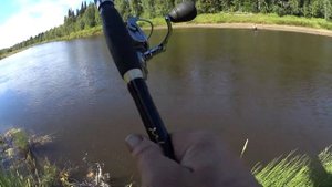 Просто рыбалка в КОМИ! Обычный день из жизни любителей порыбачить. Полосатая рыбалка.