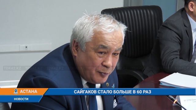 САЙГАКОВ СТАЛО БОЛЬШЕ В 60 РАЗ смотреть онлайн
