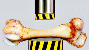 HYDRAULIC PRESS VS BIG BONE