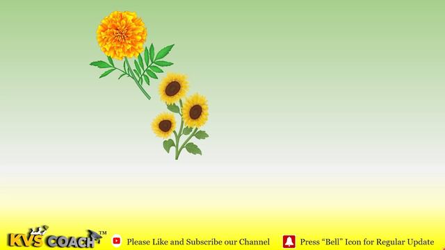 Learn about 25 Flower name to Improve Knowledge & Vocabulary of Kids