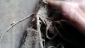 Разбор старого неизвестного  прибора .