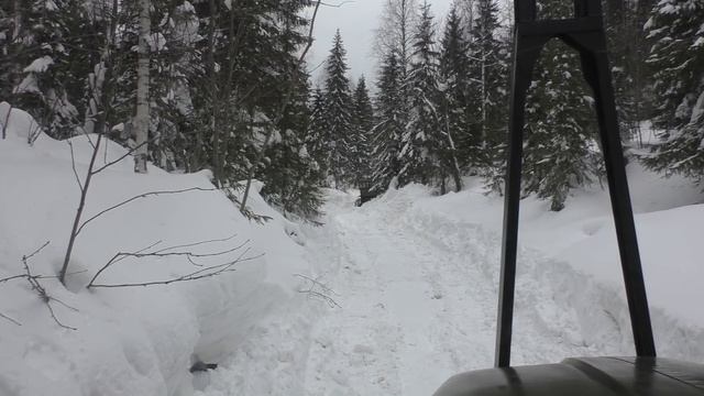 Не смог на Урале лесовозе проехать в делянку... Бульдозер чистит дорогу