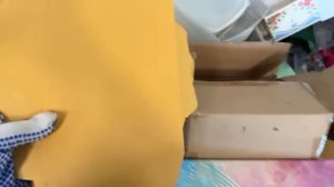 🔴СВАЛКА США Много нужного и ненужного #OlyaSineevaUSA