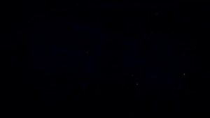 коты воители: Огнезвёзд и Синяя звезда "После меня" клип