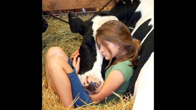 Синекдоха Монток - Чемодан смотреть онлайн