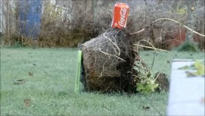 Gamo PX-107 Co2 [AIRGUN] -Shooting