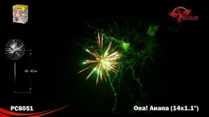 РС8051 Опа! Анапа!