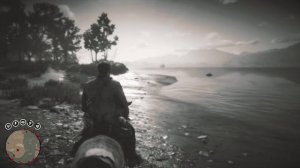 RDR2 - где найти Белоклювую Гагару