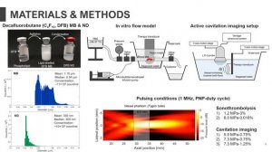 Kim - Cavitation of Phase Change Nanodroplets Activated by pFUS in Sonothrombolysis (Poster) (2020)