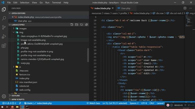 3 Laravel Display & Load Profile Image Into The Index View смотреть онлайн