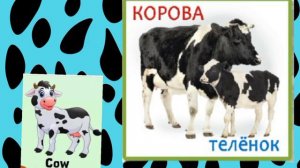 sounds domestic animals/  звуки домашних животных #pets #animals #домашниеживотные