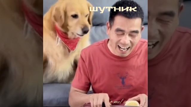 Шутник