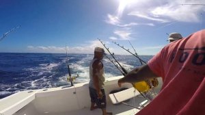 рыбалка!!! ловля Марлина на острове Маврикий с Ильичём (короткая версия)