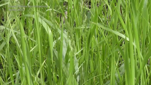 Липецк. 21 микрорайон смотреть онлайн