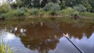 Хутор в лесу. Ночевка. Рыбалка на малой реке. Готовка на костре.