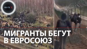 Караваны мигрантов осаждают границу Белоруссии и Польши | Беженцы пытаются прорваться в Германию