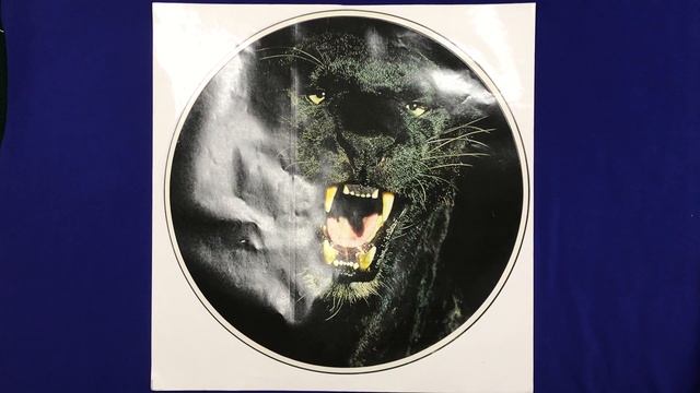 Обзор ФЛУОРЕСЦЕНТНЫХ наклеек "Пантера"! СМОТРИМ КАК СВЕТЯТСЯ! смотреть онлайн