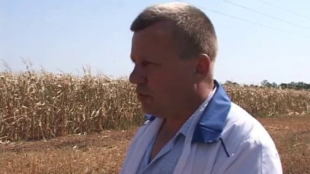 Борьба с саранчовыми вредителями в Ростовской области смотреть онлайн