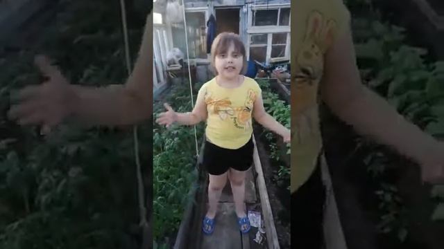 Поехали на дачу смотреть онлайн