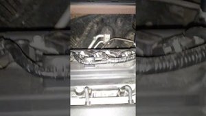 Звук двигателя на масле kixx 5w30 sn plus gf-5