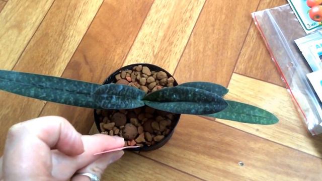 Копия видео "Мой приз!!! Продолжение!!! 🙌😍🙏" смотреть онлайн