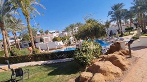 Питание, Обед в Jaz Sharm Dreams Resort 5*. Зима 2022г.