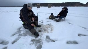 Рыбалка в Старомайнском заливе, с.Садовка.Погода шикарная.#зимняярыбалка