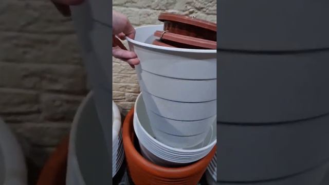 Кашпо и горшки для цветов #вседлясада #петуния #garden_guy #парень_из_сада #дача #дачники