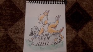 Обзор скетчбука: коты-воители #6