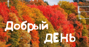 Добрый День! Легкого и Продуктивного Дня